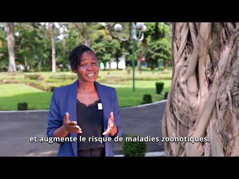 L'initiative "marché santé" de l'OMS expliquée par Lusubilo Mwamakamba