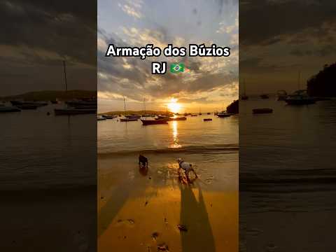 🇧🇷ARMAÇÃO DOS BÚZIOS- RJ - FINAL DE TARDE NA PRAIA DOS OSSOS - BULDOGUES FRANCESES #frenchbulldog