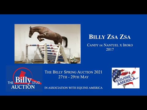 Billy Zsa Zsa