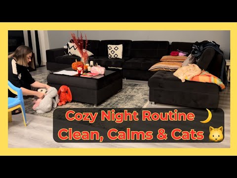 Relaxing Night Routine (8-10 PM) with My Cats 🐱 | Clean, Organize & Unwind Before Bed