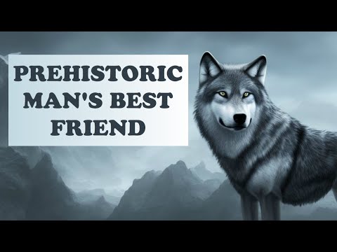 Evolution of Dogs | How Wolf Became Dog | Origins of the Dog | Early Dog Domestication