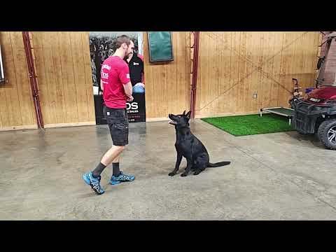 Control Is The Name Of The Game And "Fia" Has it.