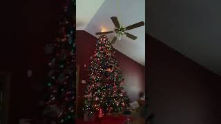 Getting in to the Christmas spirit