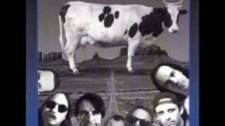The Swirling Eddies - 5 - I Luv Rap Music - Sacred Cows (1996)