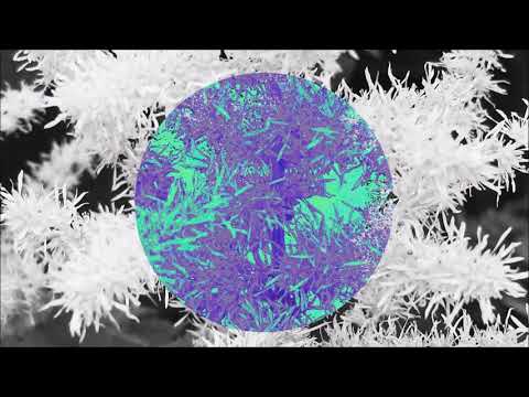 Capturez - Utopia [Future House]