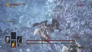 [ダークソウル3]素性対人バージョン2バランス調整！　合言葉7474