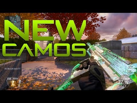 Black Ops 2? EPIC Weaponized 115 and Beast Camo | New DLC From Treyarch!