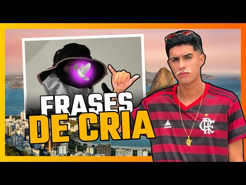 Frases de Cria 2024 -  Legendas para fotos, biografia e visão de cria