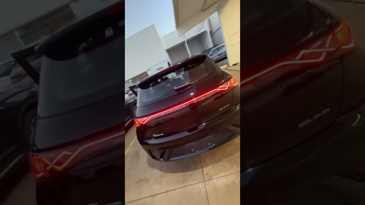 NOVO BYD Dolphin 2027