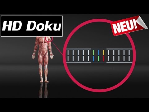 Doku (2017) - Gentechnik: Neue Hoffnung in der Medizin - HD/HQ