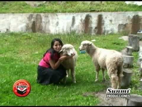 VILMA ROJAS  - Album 1 - Amor de Cristo (SUNMI PRODUCCIONES) Nueva Imagen 2012