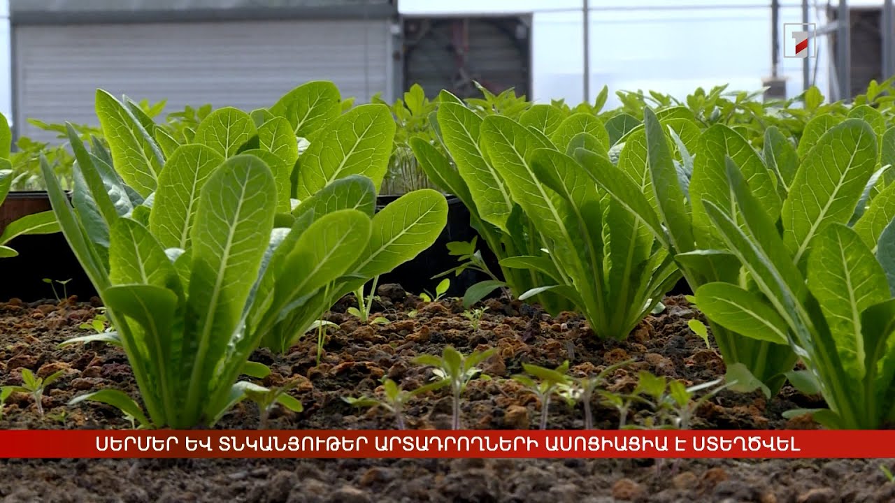 Սերմեր և տնկանյութեր արտադրողների ասոցիացիա է ստեղծվել