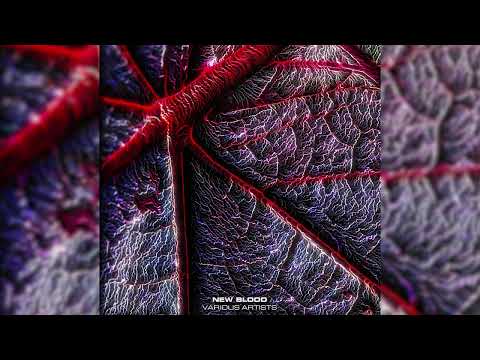 Ben Techy - Hostile Reference [WN014]