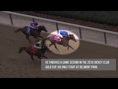 2019 Met Mile Contender - Thunder Snow