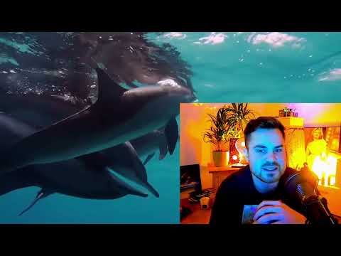 02.02.- 22.02.2022  22:22 Uhr - Besondere Daten!