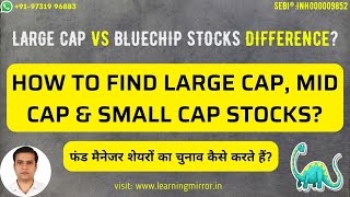 How to find Large Cap Stocks Vs Mid Cap Stocks Vs Small Cap Stocks | Large Cap Vs Blue-chip Stocks