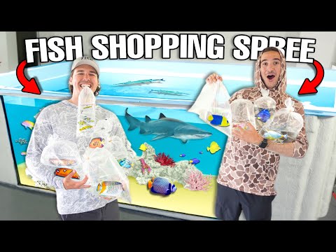 BUYING FISH from EVERY FISH STORE Challenge for The Giant SALTWATER POND!