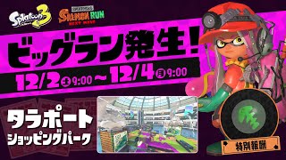 世界で一番楽しいビッグランやるぞ！【スプラトゥーン3 / サーモンラン】