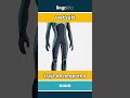 wetsuit - traje de neopreno video thumbnail