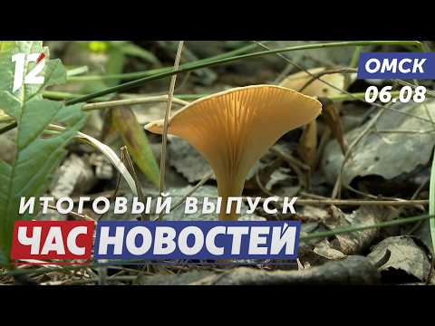 Где искать белые грибы? / Путин оценил Омск / Собаку нашли спустя неделю. Новости Омска