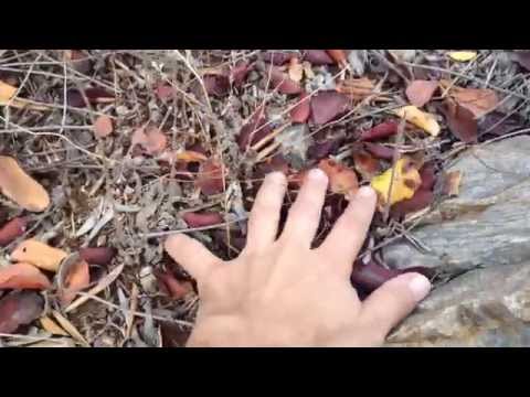 Permaculture Malaga 12: Microclimates & Water audit