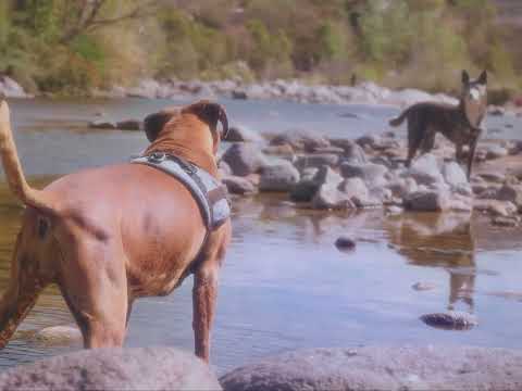 La Bolsa - Cinematic - Córdoba