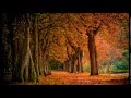 Svyatoslav Kurashov - River ("Svoi'' Soundtrack ...