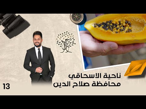 شاهد بالفيديو.. ناحية الاسحاقي محافظة صلاح الدين - رحال م٥ - الحلقة ١٣