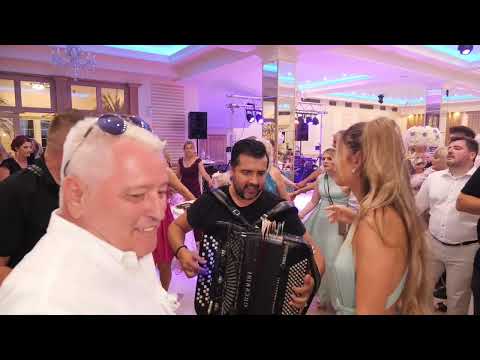 Orkestar Dobrnjac- Prva Harmonika Sveta Srdjan Dobrnjac- vlaski splet