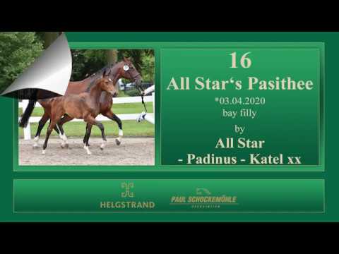 16 All Star's Pasithee by All Star - Padinus - Kathel xx