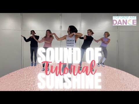 The Sound of Sunshine (TUTORIAL) || Michael Franti & Spearhead || Stop Drop And Dance