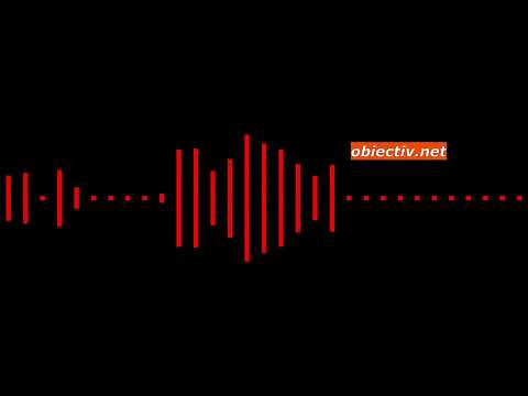 Înregistrare audio (1) - profesoară de liceu -  Slobozia (2021)