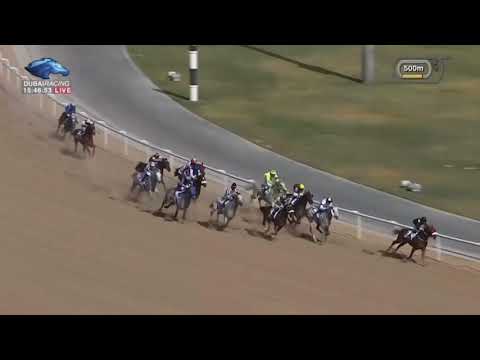 DERYAN 🇫🇷 — 2021 G1 Dubai Kahayla Classic ($750,000)