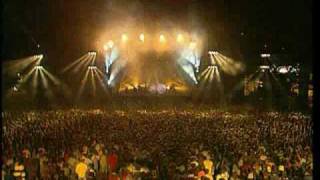 Emir Kusturica &amp; The No Smoking Orchestra: Devil in the Business Class (live)