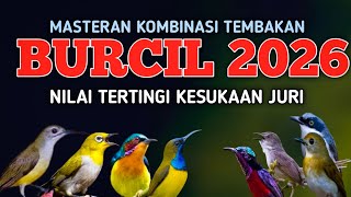 Download lagu 2 jam MASTERAN BURCIL 2026 TERBARU 🔥 Kombinasi Tembakan Paling Disukai Juri mp3 Download lagu 2 jam MASTERAN BURCIL 2026 TERBARU 🔥 Kombinasi Tembakan Paling Disukai Juri mp3