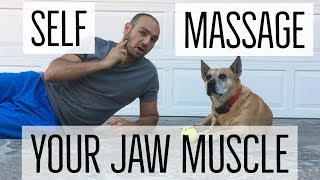 Self Massage Your Masseter (Jaw) Muscle! Crucial for relieving headaches, TMJ, clenching, bruxism