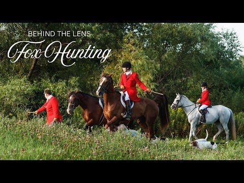 Behind the Lens - Fox Hunting