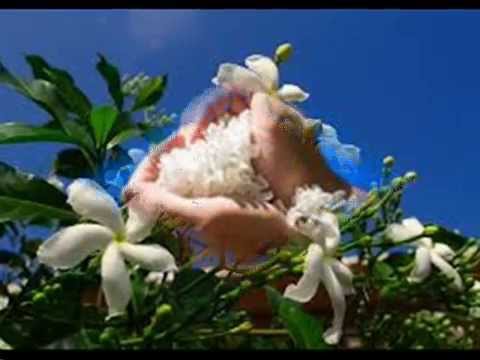 Primavera II - Francisco Russo