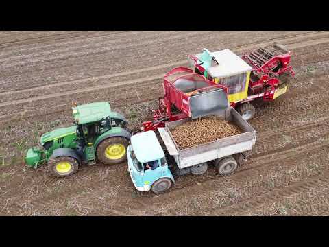 Sklizeň brambor 2020 | ZD Novosedly | John Deere 6190R + Grimme SE 150-60, John Deere 6310, Trambus