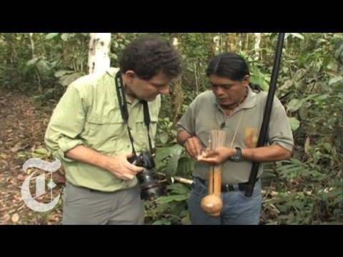 download lagu mp3 mp4 Blowgun Hunting, download lagu Blowgun Hunting gratis, unduh video klip Blowgun Hunting