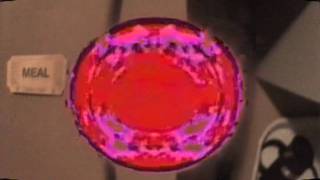 R. Stevie Moore &amp; Ariel Pink - Cherrybaby Come Out 2night (2011)