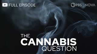 The Cannabis Question I Full Episode I NOVA I PBS