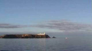 preview picture of video 'Common Dolphins off Galley Head- Ireland Part 2'