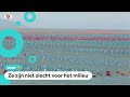 Waarom ligt deze zee vol met gekleurde ballonnen?