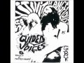 Guided By Voices - Look, It's Baseball