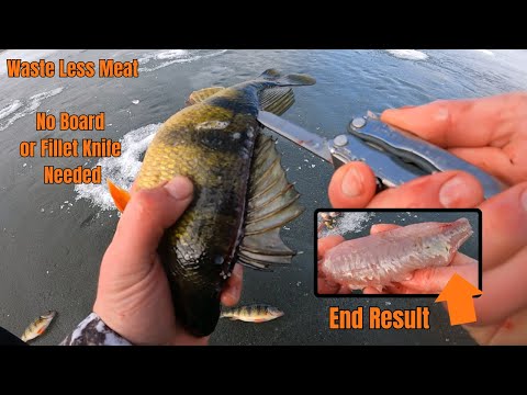 The Easiest way to Clean Perch for a Catch & Cook
