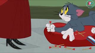 Tom and Jerry in Swahili 2022 boomerang Tz 🇹�