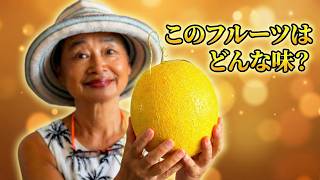 黄色いマスクメロン🍋⁉️美味しいの?| 東南アジアのフルーツ試食