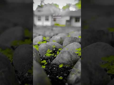 Mughrom [ JAMALAK MA FITS-NAIN~ جَمَالَك مَافِي اثْنَيْنْ ] lirik