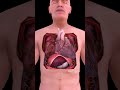 Dive Deep Into Your Body And Discover It ️
